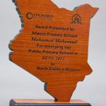 Custom Made Map Shaped Awards