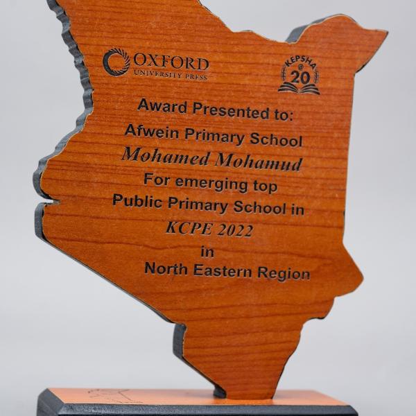 Custom Made Map Shaped Awards